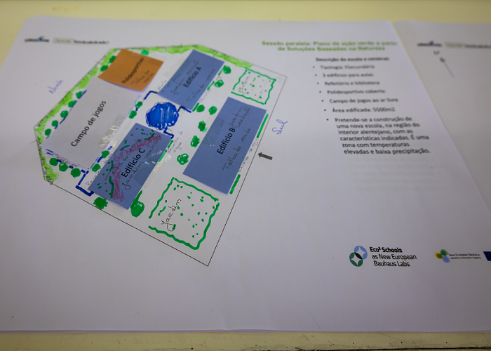 Criação de um Plano de Ação Verde na escola