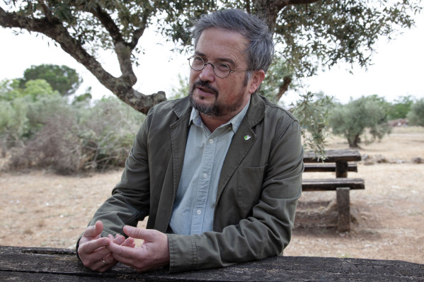 Pedro Bingre do Amaral