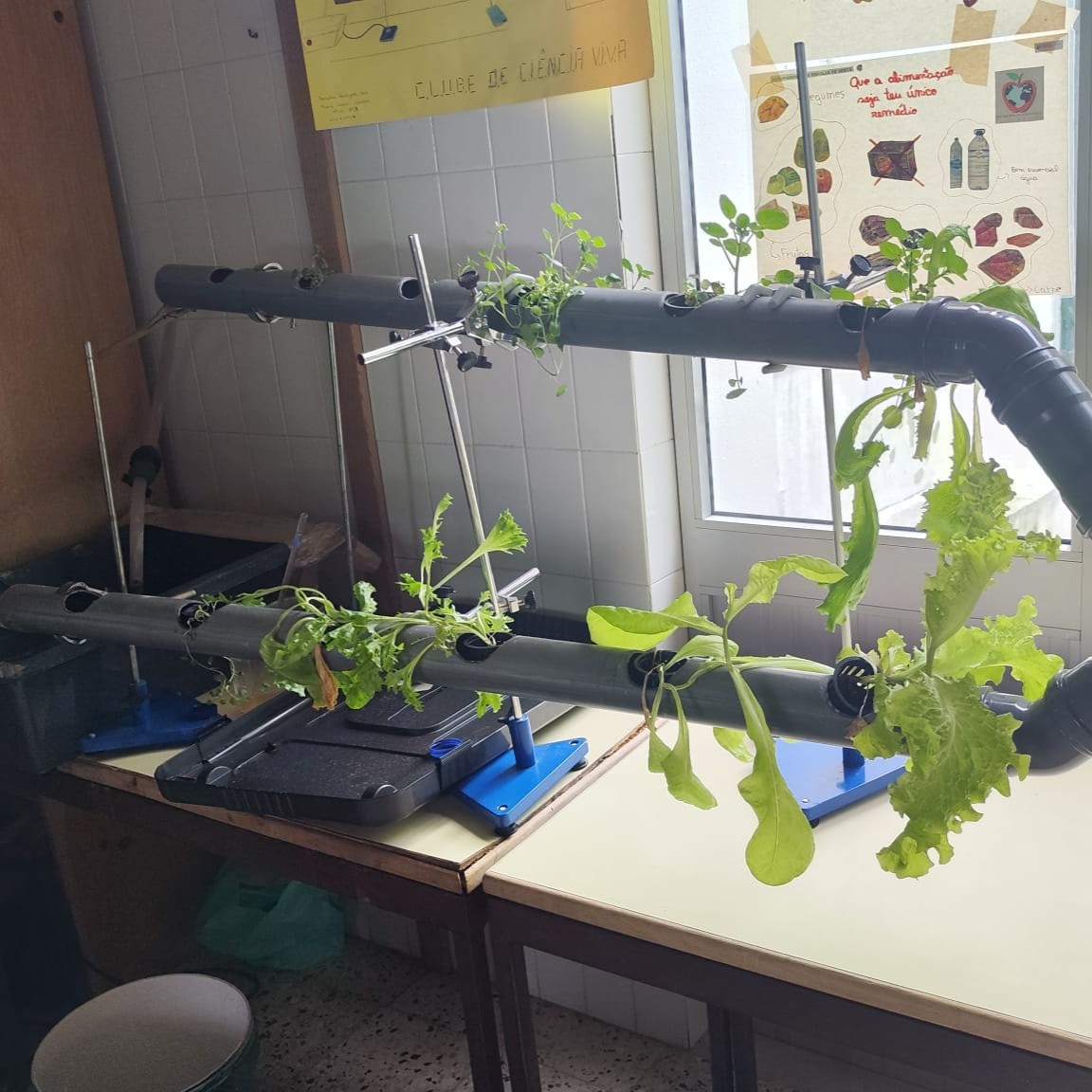 Agrupamento de Escolas da Sertã