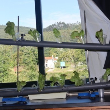 Escola Básica de Góis