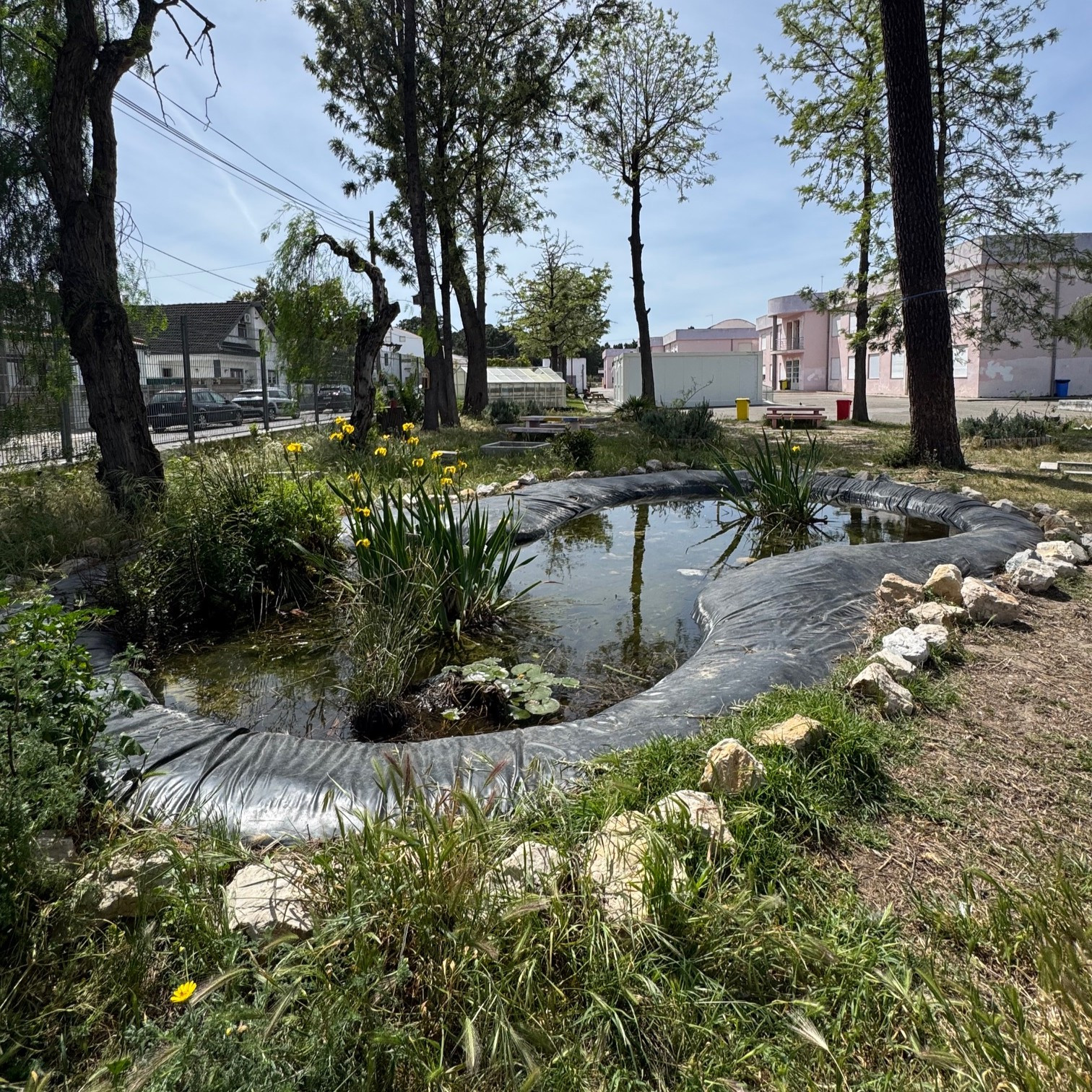Escola Básica Maria do Carmo Serrote, Sesimbra