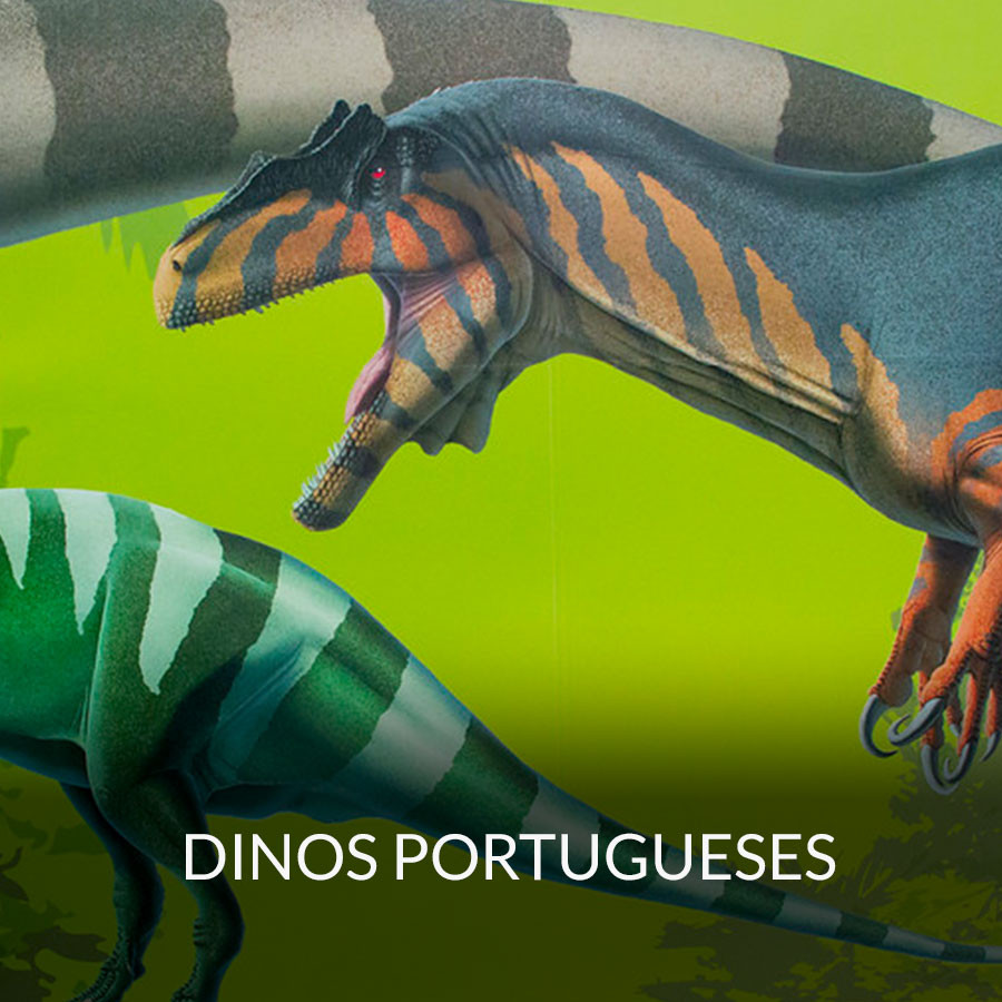 Expodinos': 7 motivos para visitar a mostra com réplicas de dinossauros em  tamanho natural e fósseis