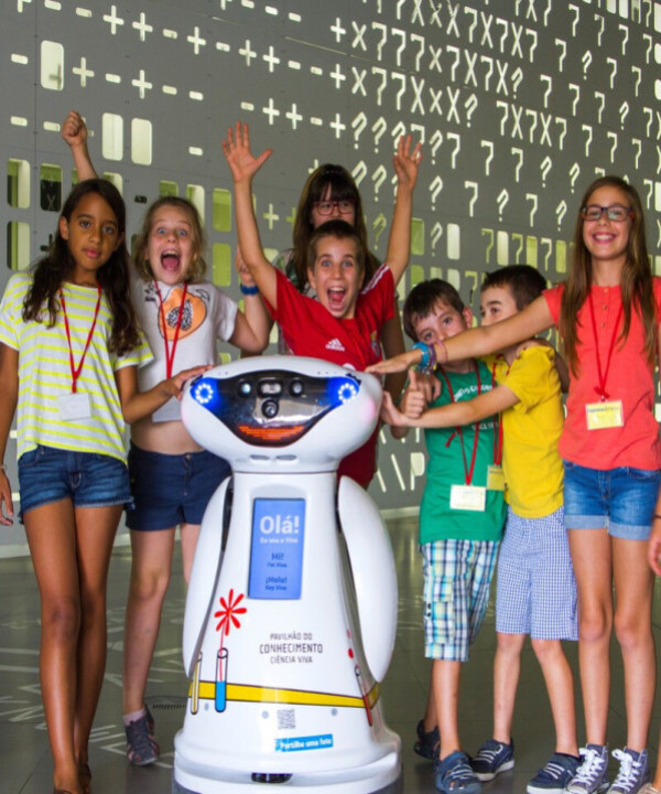 Festas de Aniversrio