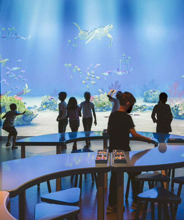 Fishan�rio | Experi�ncia Imersiva