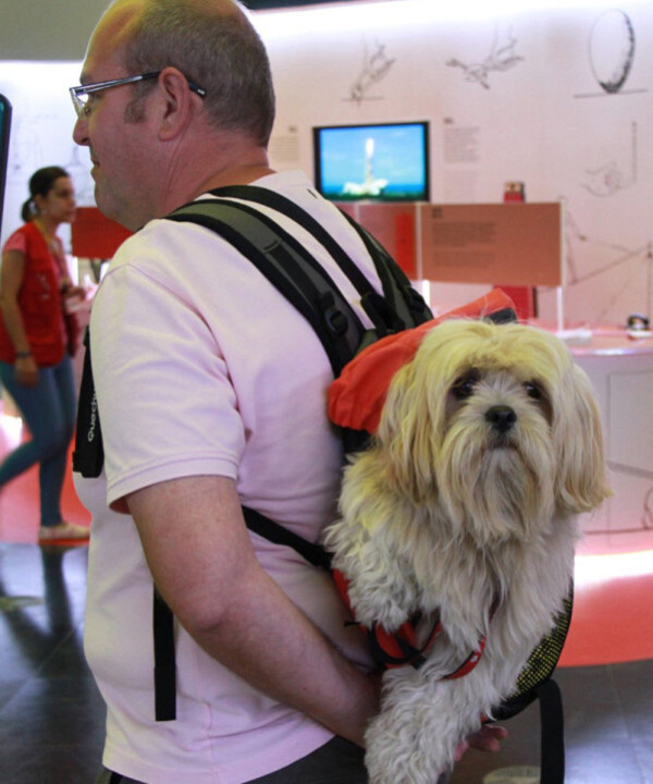 Somos um Museu Amigo dos Animais!