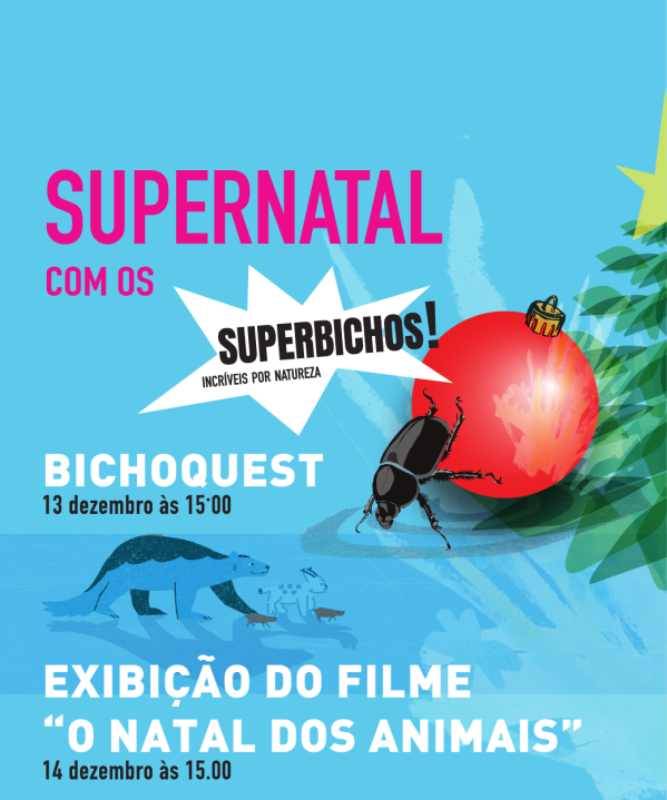 13 e 14 dezembro | Programao de Natal