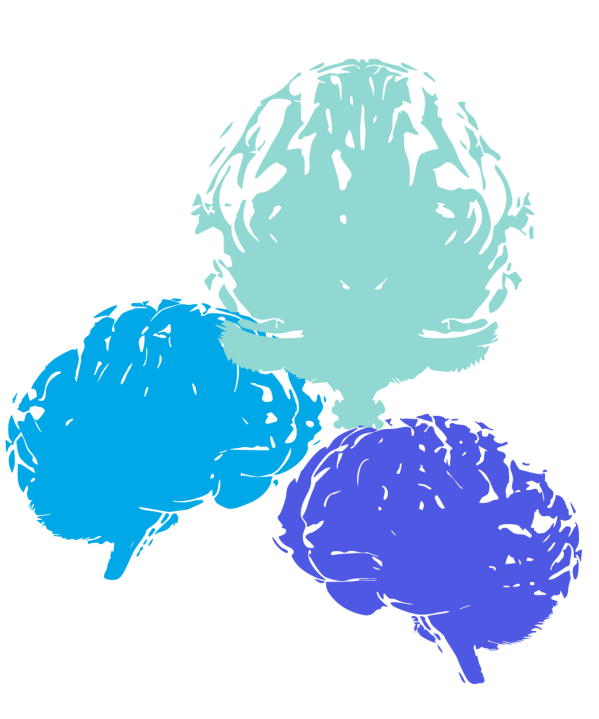 4. Conferncia de Professores compreenderSADE | 23 e 24 janeiro 2026