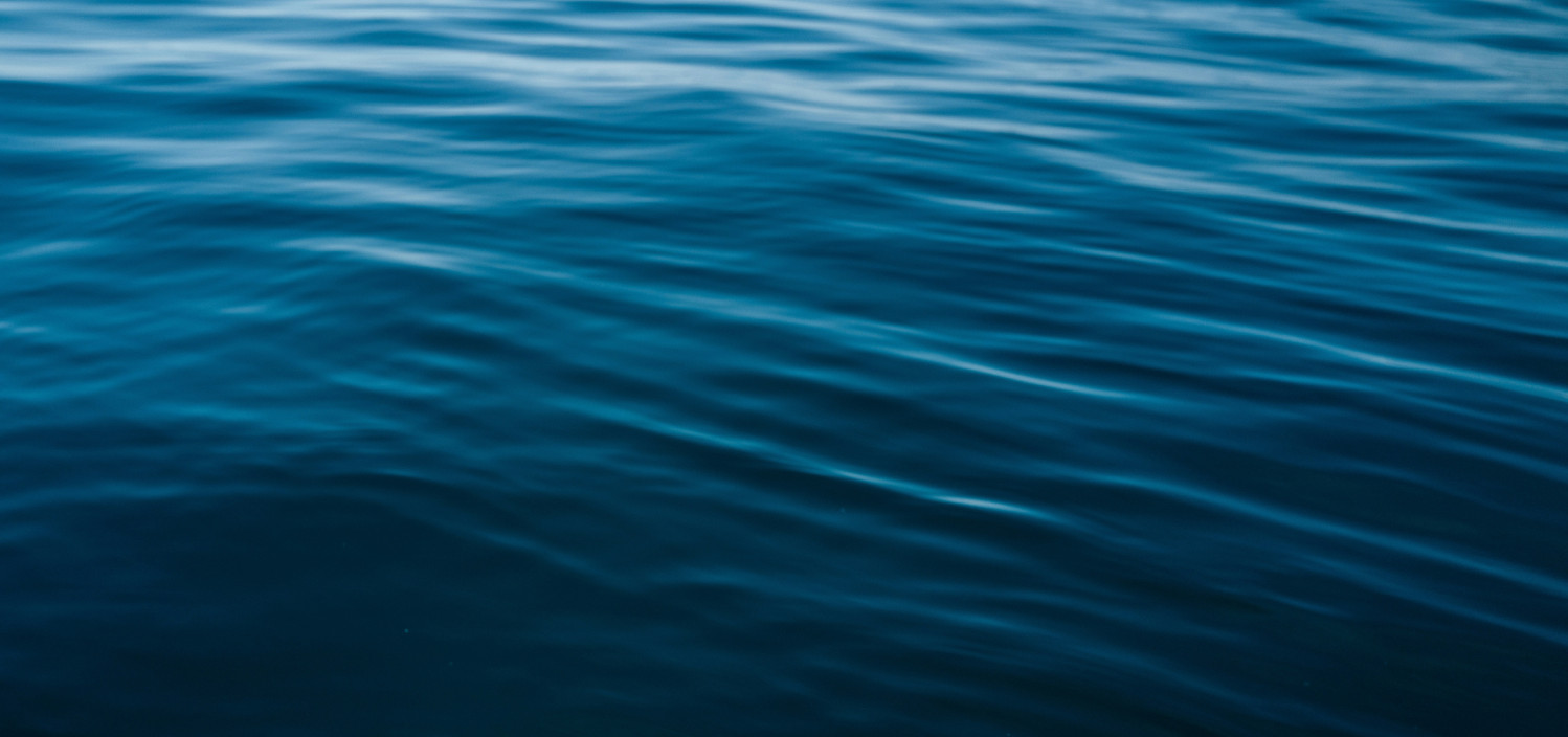 11.� Confer�ncia de Professores do Mar
