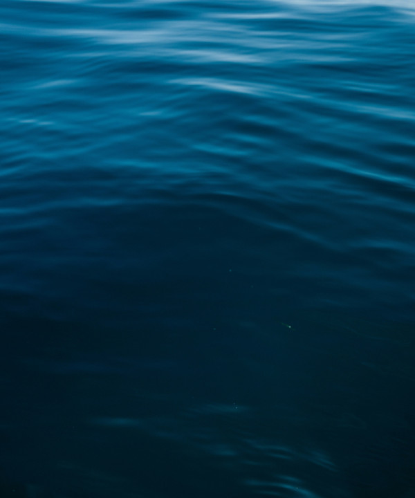 11.� Confer�ncia de Professores do Mar | 8 e 9 maio