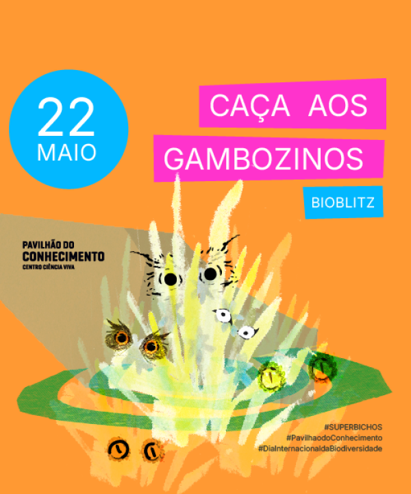 Programa��o SUPERBICHOS