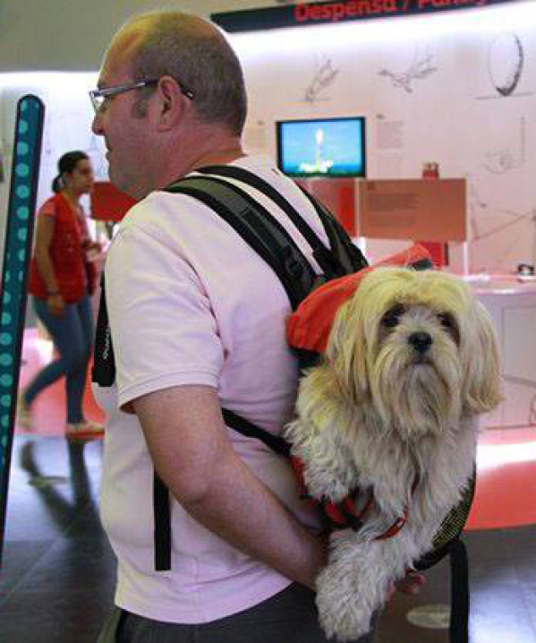 Somos um Museu Amigo dos Animais!