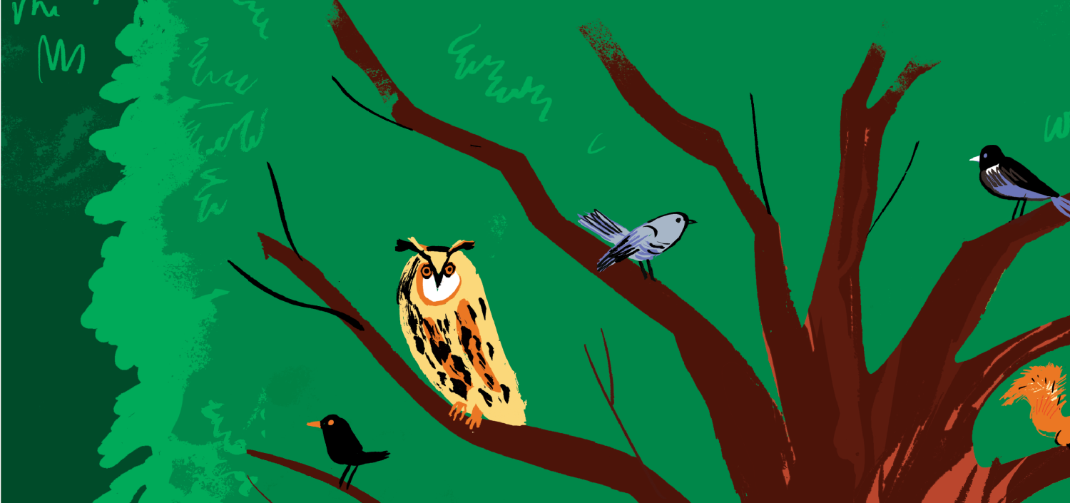 FOREST: A Rooted Experience